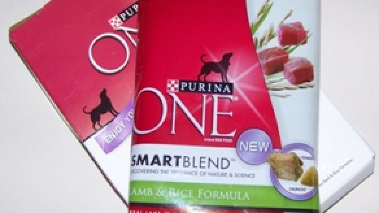 sam's club lamb and rice dog food