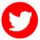 Twitter-Icon-Small
