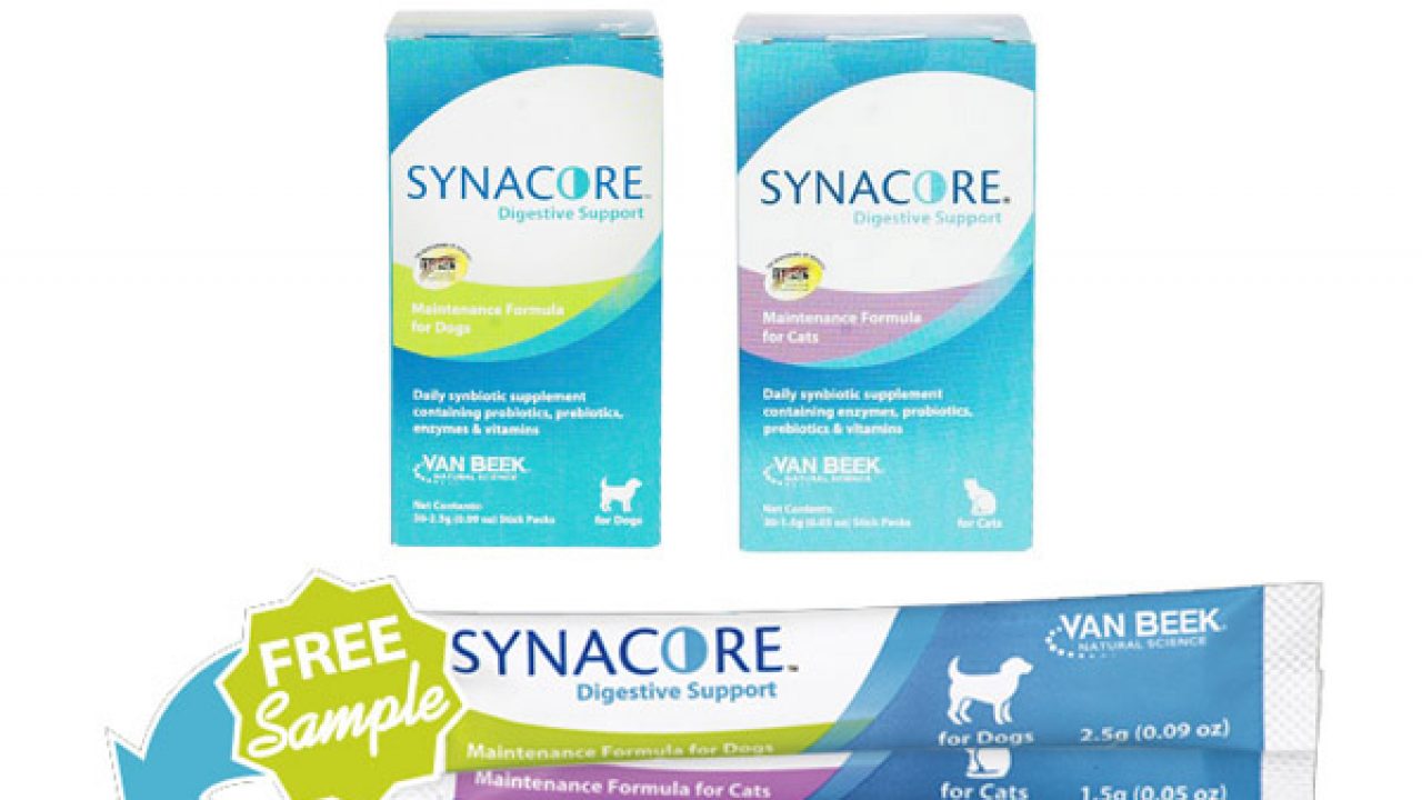synacore for cats