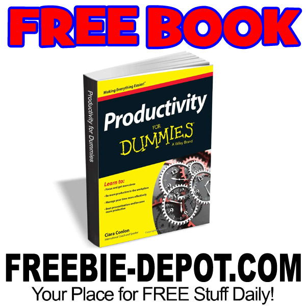 FREE BOOK – Productivity For Dummies – $11 Value – Exp 5/17/17