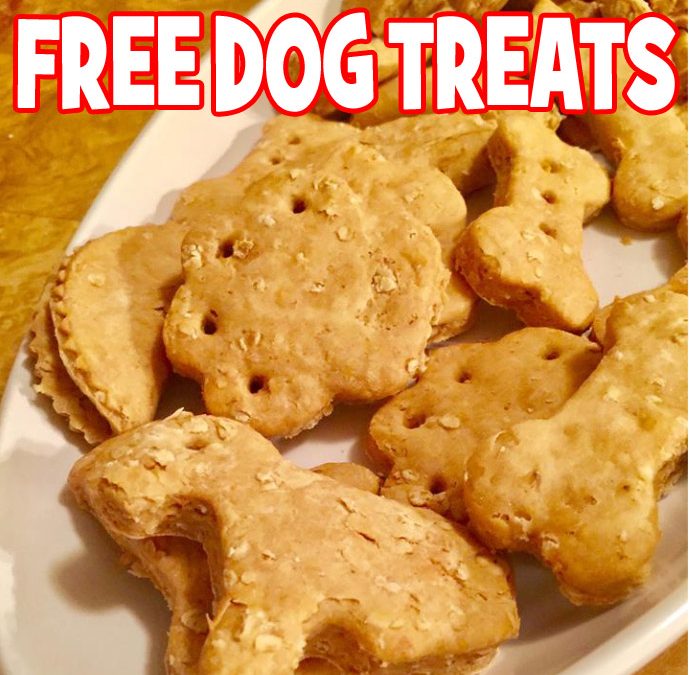 FREE Dog Treats!
