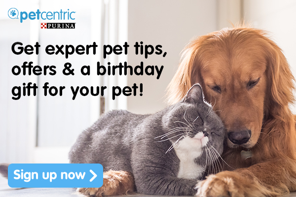 FREE Purina Pet Birthday Gift!