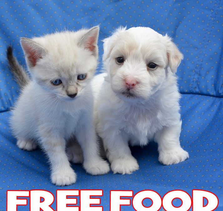FREE Bag of Dog or Cat Food at PetSmart – Exp 10/2/17