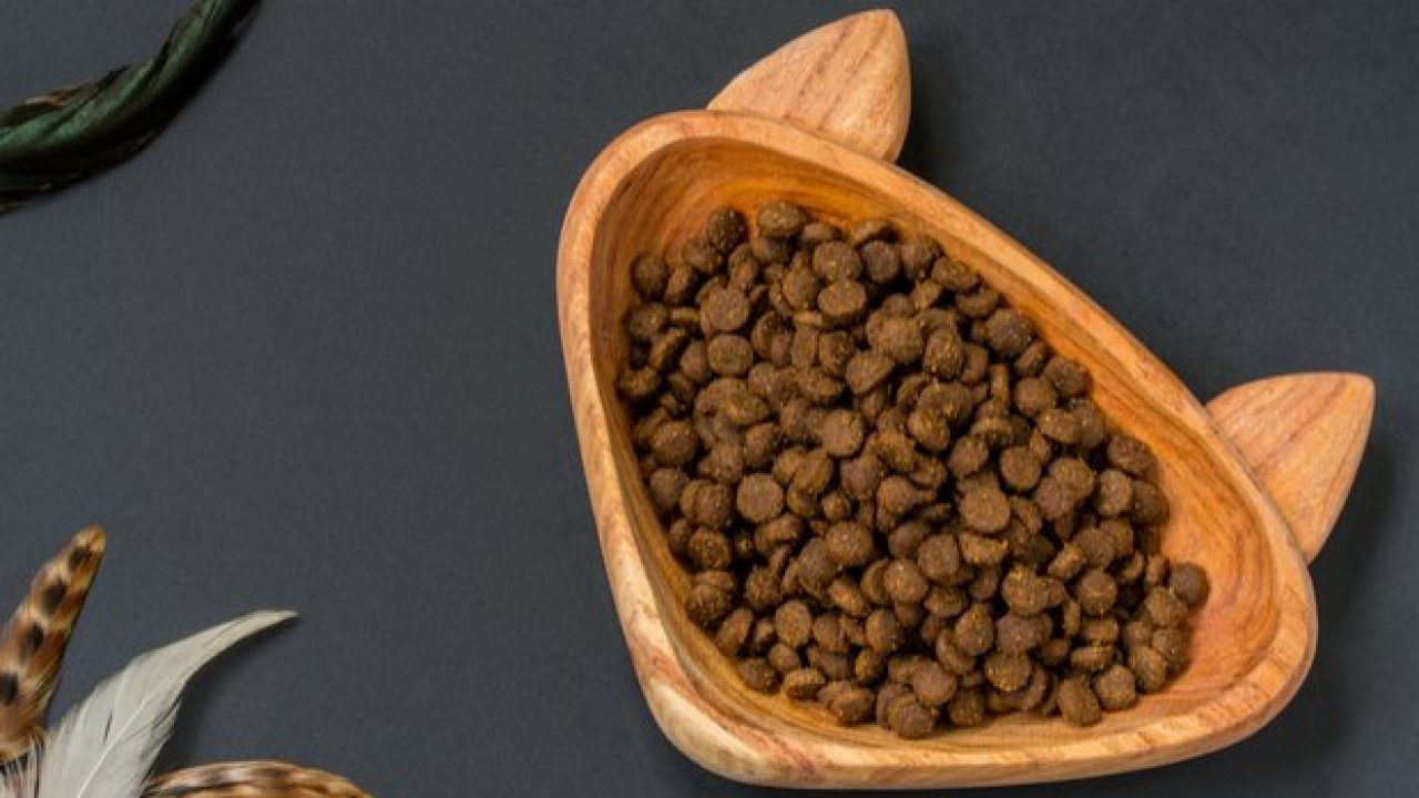 Free Box Of Purina Cat Food Samples Freebie Depot