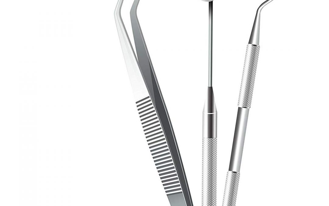 Stainless Steel Dental Hygiene Tool Kit – JUST $3.99
