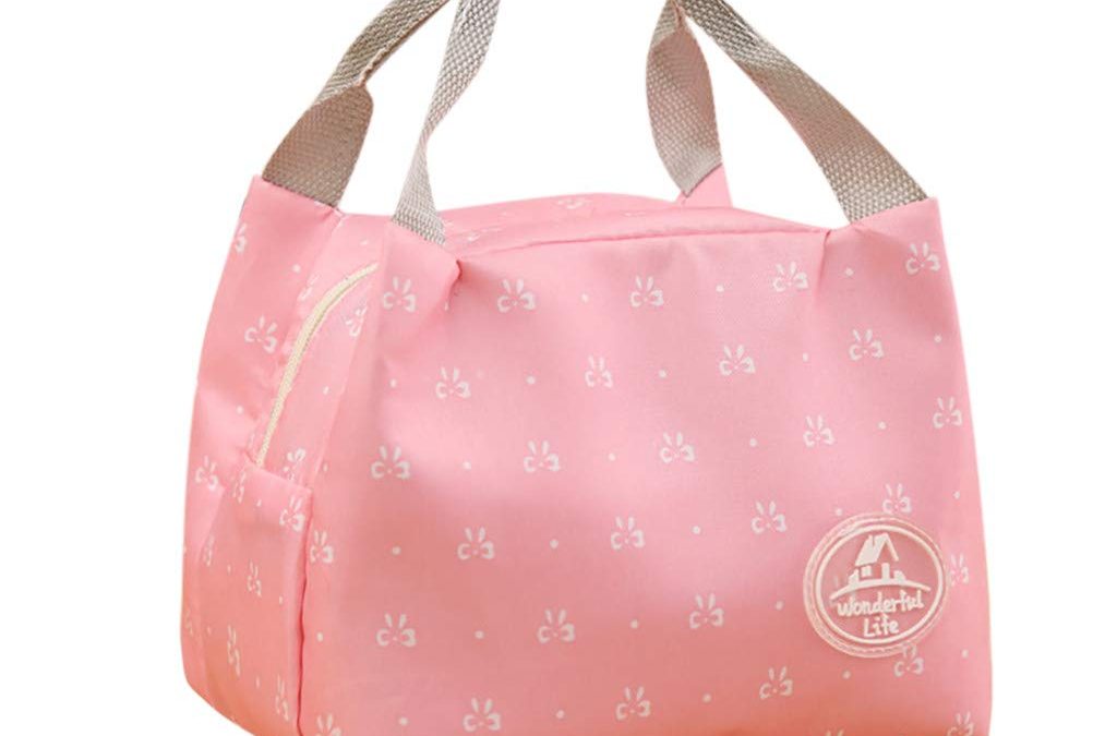 WOW! Insulated Soft Lunch Bag Cooler ONLY $2.50