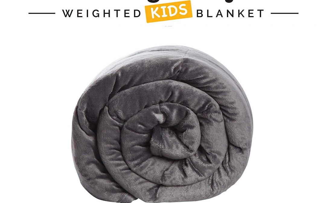 Calming Comfort Weighted Blanket by Sharper Image ONLY $18.88