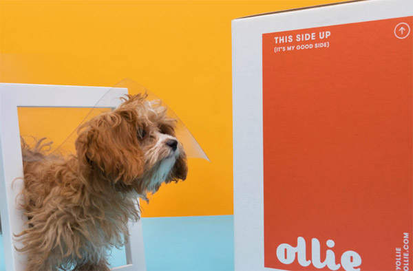 🐶 HOT DOGGIE DEAL! 60% OFF Ollie Fresh Dog Food Box! LIMITED TIME OFFER!
