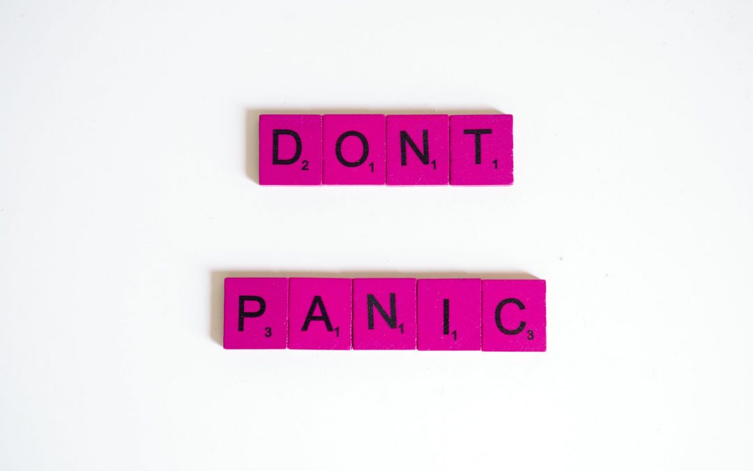 FREE BOOK – Don’t Panic! A Practical Guide to Dealing with Fear, Anxiety, Panic, and Public Speaking