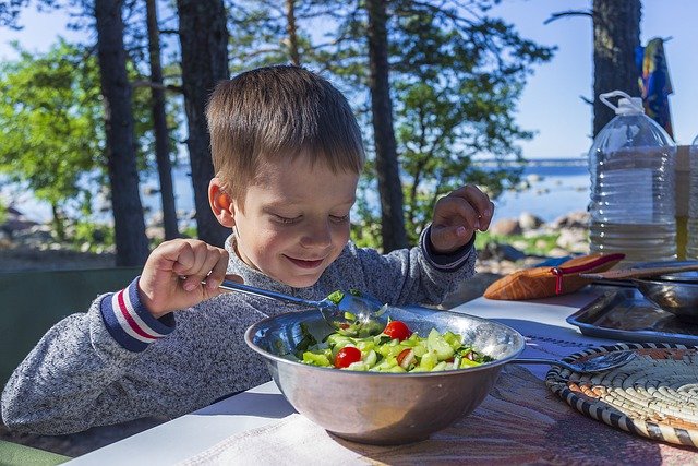 FREE BOOK – How to Get Your Kids to Beg for Veggies – $9.99 Value