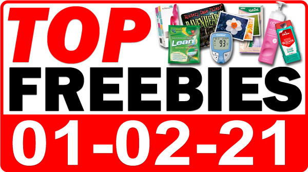 FREE Kitty Litter + MORE Top Freebies for January 2, 2021