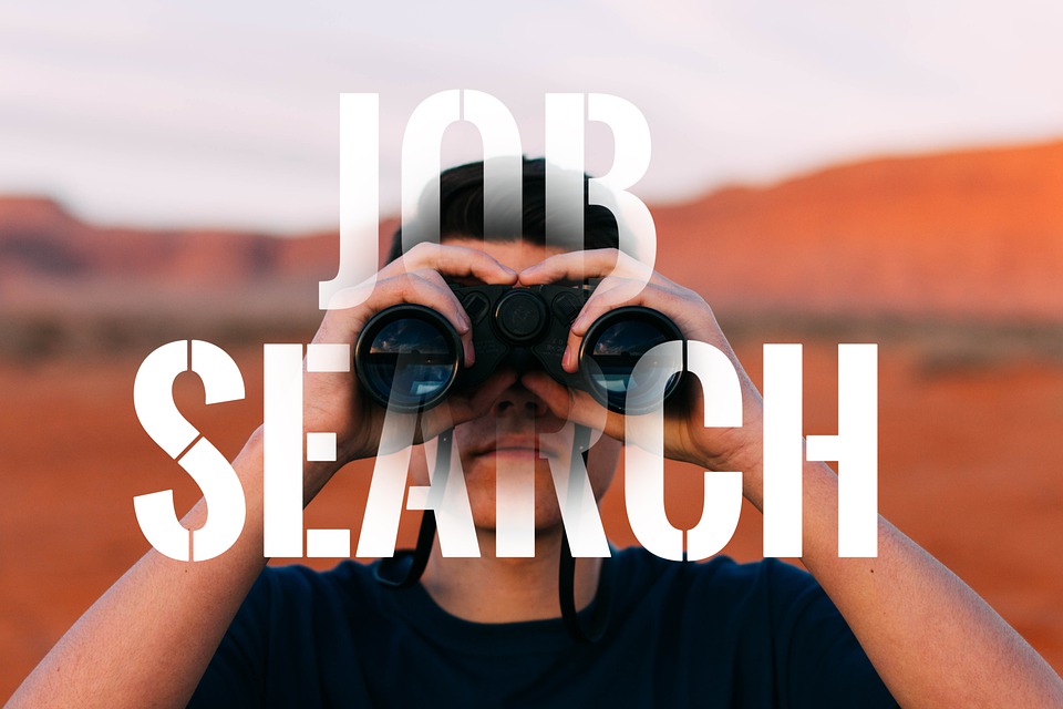 FREE BOOK – 11 Steps to Focus Your Job Search