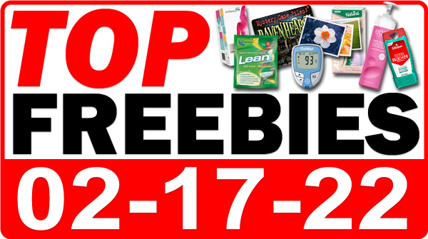 FREE Wildflower Seeds + MORE Top Freebies for February 17, 2022