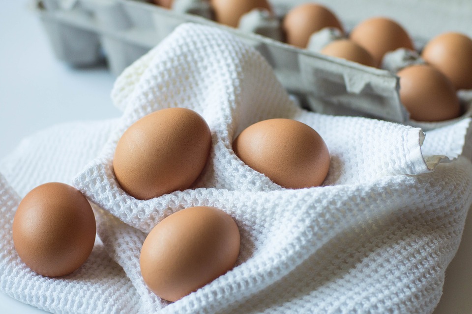 FREE SAMPLE – Farm Fresh Jumbo Brown Egg