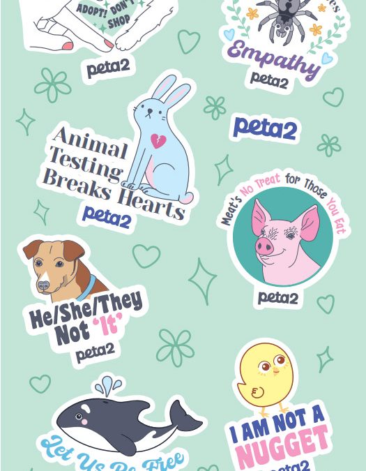 FREE Animal Rights Stickers
