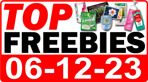 FREE Brick + MORE Top Freebies for June 12, 2023