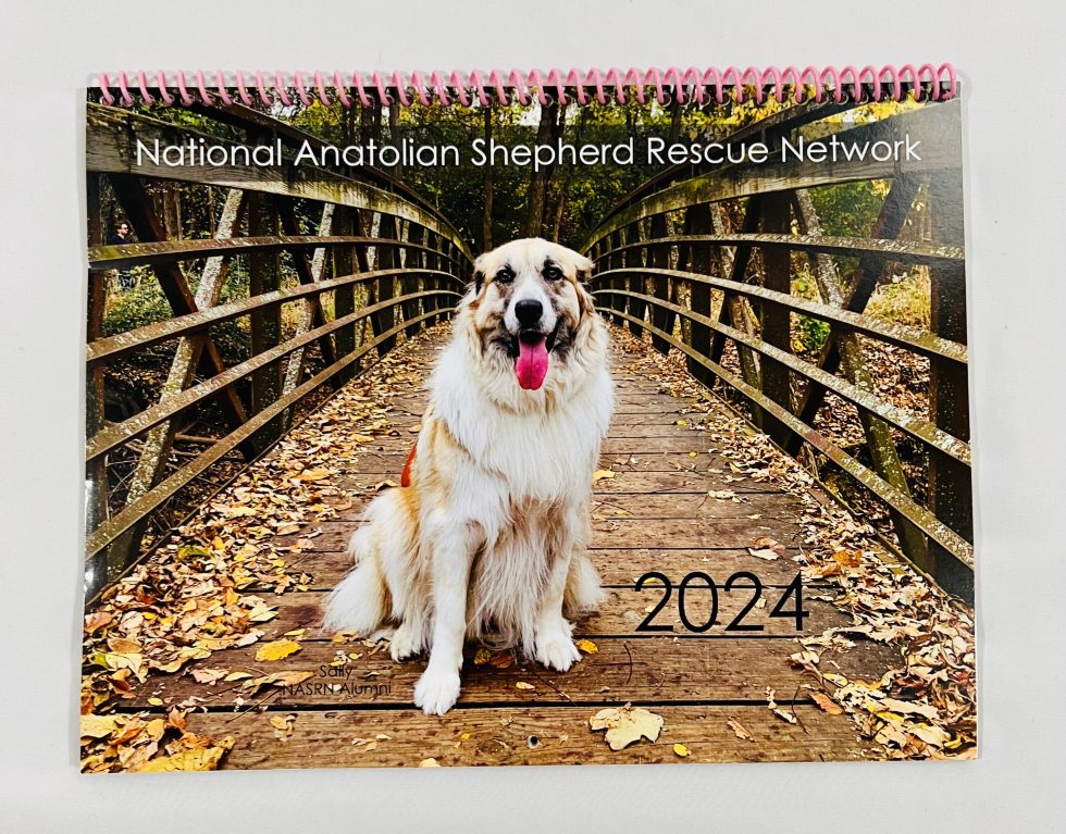 Calendars Freebie Depot