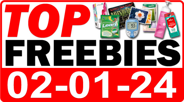 FREE Fridge Magnet + MORE Top Freebies for February 1, 2024