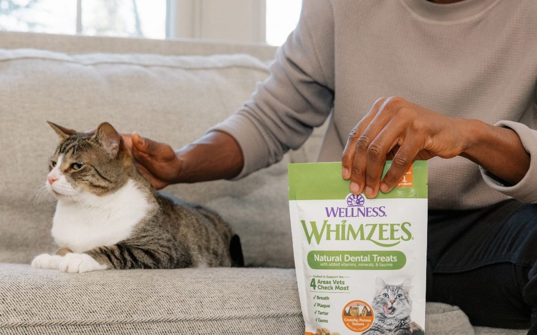 FREE SAMPLE – Wellness Whimzees Cat Dental Treats