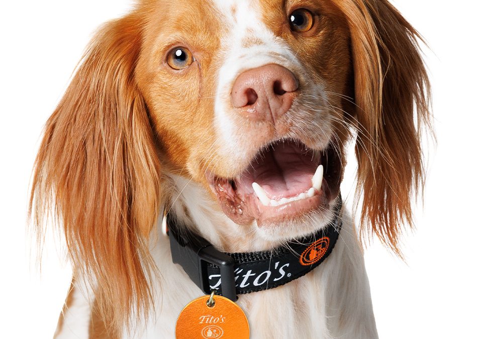 FREE Personalized Holiday Tito’s Vodka Dog Tag
